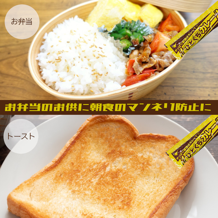 宮島醤油 カレー 非常食 アウトドア 小袋 使い切り 小分け