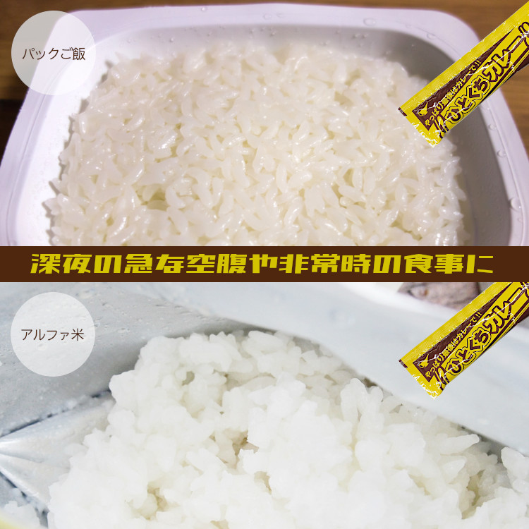 宮島醤油 カレー 非常食 アウトドア 小袋 使い切り 小分け