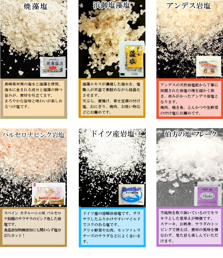 小袋 アソート 使いきり 塩 調味料 スパイス 携帯用 アウトドア お弁当 イベント テイクアウト