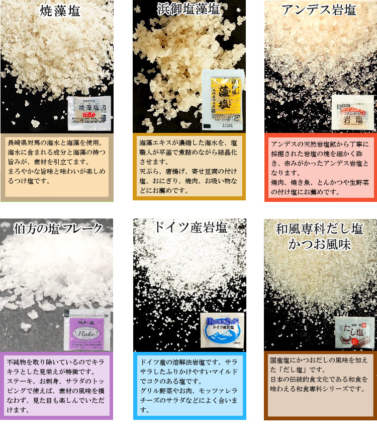 小袋 アソート 使いきり 塩 調味料 スパイス 携帯用 アウトドア お弁当 イベント テイクアウト