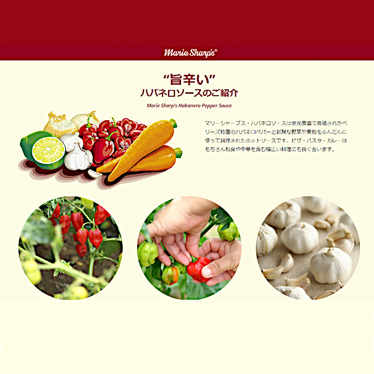 ソース ハバネロ マリーシャープス 調味料 小袋 使い切り 小分け テイクアウト お弁当