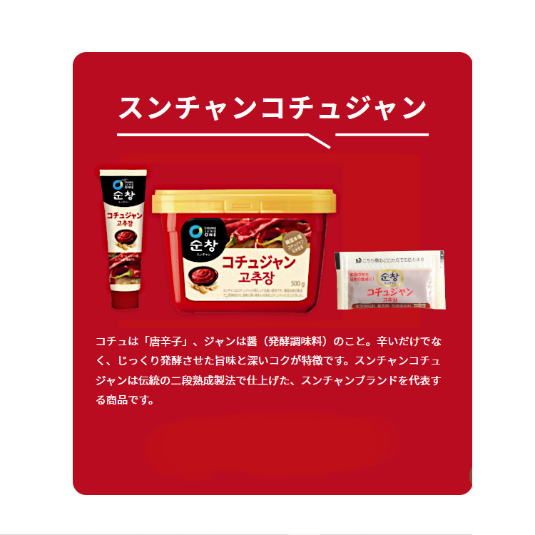コチュジャン スンチャン スパイス 調味料 小袋 使い切り 小分け テイクアウト 焼き肉