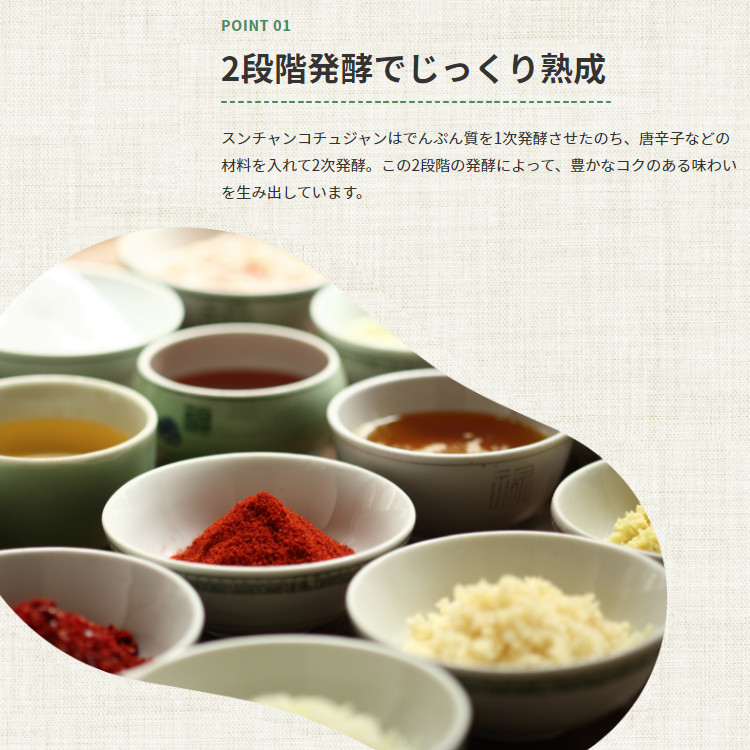 コチュジャン スンチャン スパイス 調味料 小袋 使い切り 小分け テイクアウト 焼き肉