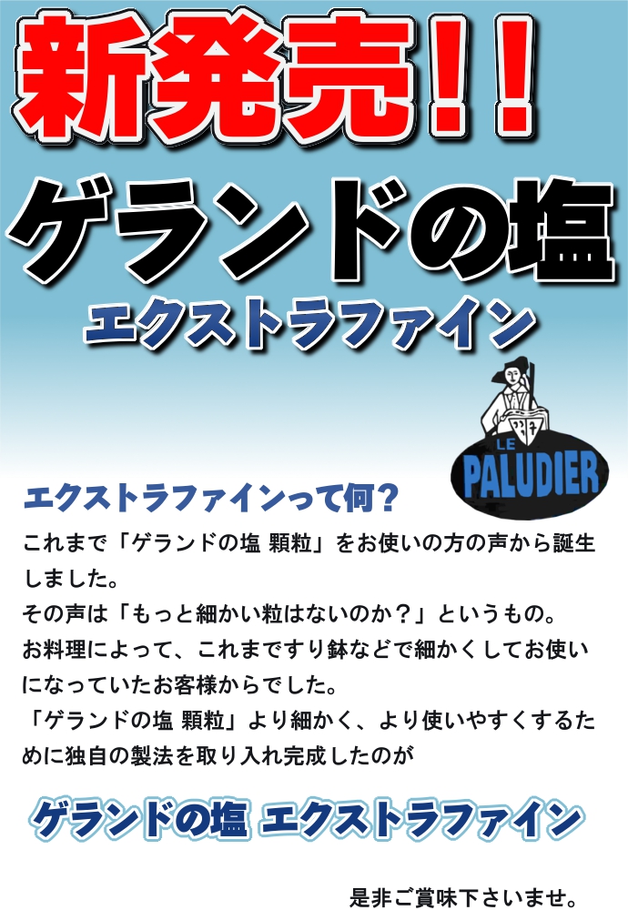 フランス 海塩 天日塩 ミネラル ソルト 塩 調味料