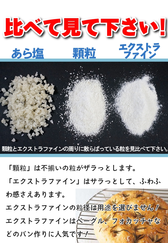 フランス 海塩 天日塩 ミネラル ソルト 塩 調味料