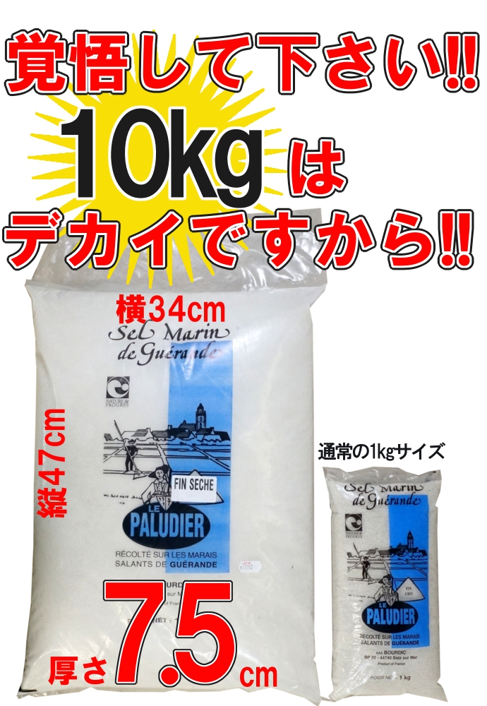 フランス 海塩 天日塩 ミネラル ソルト 塩 調味料