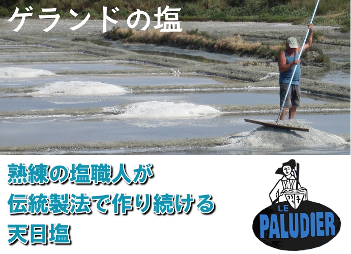 フランス 海塩 天日塩 ミネラル ソルト 塩 調味料