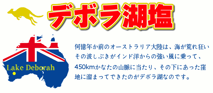 オーストラリア 湖塩 自然結晶塩 ミネラル ソルト 塩 調味料