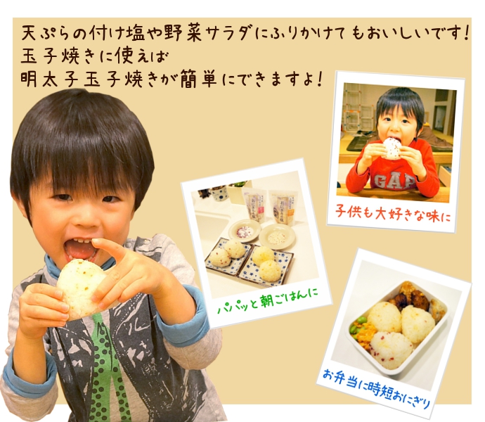 博多明太子 長崎の塩 おにぎり フレーバーソルト 塩 調味料