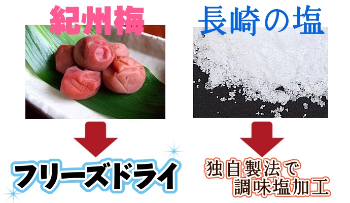紀州梅 長崎の塩 おにぎり フレーバーソルト 塩 調味料