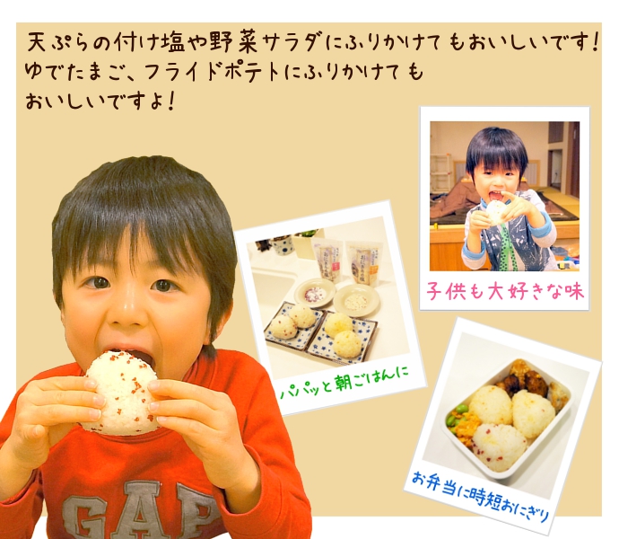 紀州梅 長崎の塩 おにぎり フレーバーソルト 塩 調味料