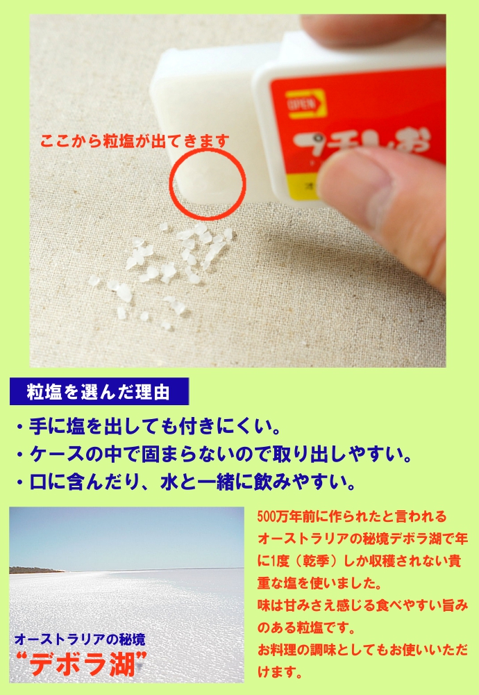 ソルト 塩 携帯用 デボラ湖塩 熱中症予防 スポーツ 夏の行事 炎天下 塩分補給