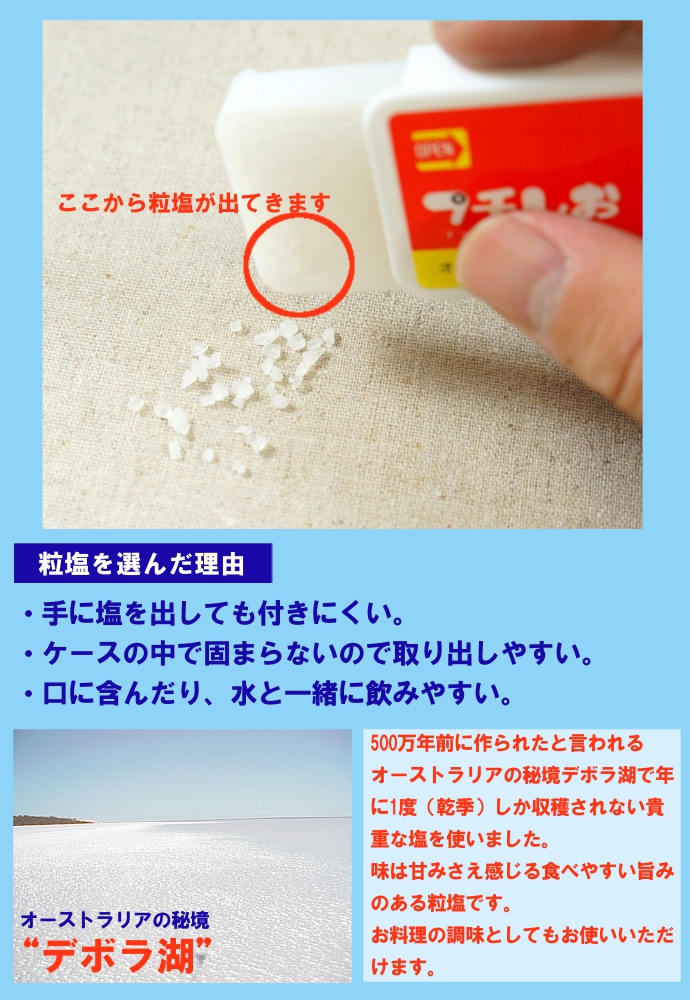 ソルト 塩 携帯用 デボラ湖塩 熱中症予防 スポーツ 夏の行事 炎天下 塩分補給