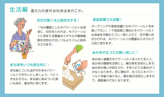 ソルト 塩 調味料 韓国 天日塩 焼塩 還元力 ミネラル
