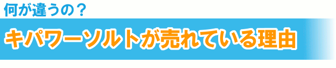 ソルト 塩 調味料 韓国 天日塩 焼塩 還元力 ミネラル