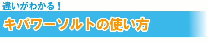 ソルト 塩 調味料 韓国 天日塩 焼塩 還元力 ミネラル
