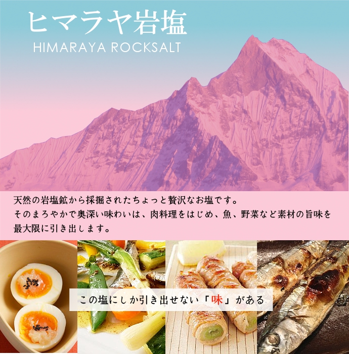 ヒマラヤ 岩塩 細粒 付け塩 ソルト 塩 調味料 バスソルト