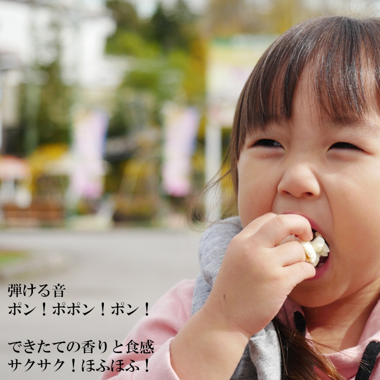 ポップコーン豆 コーン ポップコーン とうもろこし