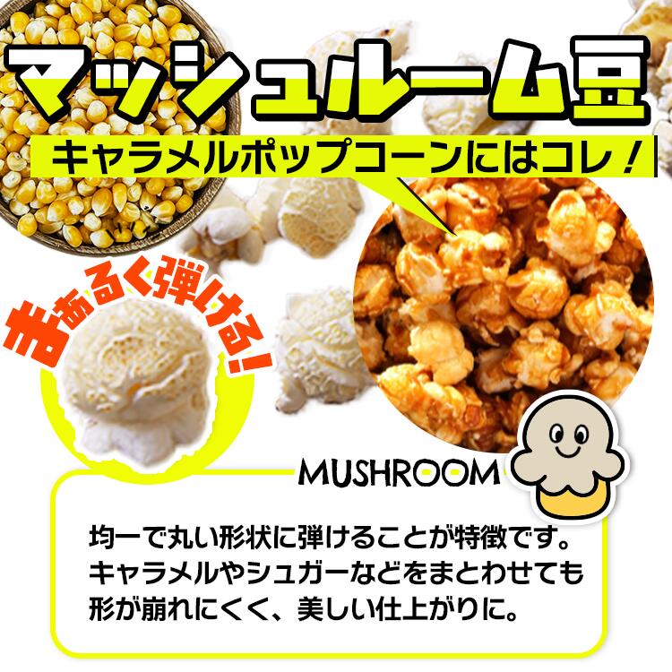 コーン とうもろこし ポップコーン