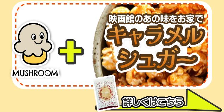 キャラメルシュガー
