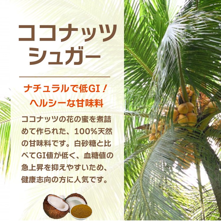 ココナツ シュガー 天然甘味料 ココナッツシュガー