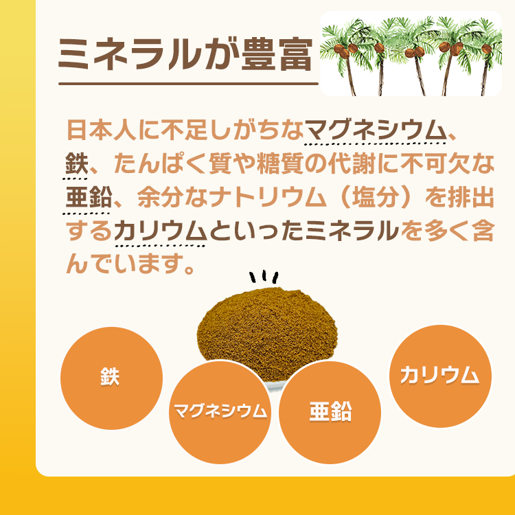 ココナツ シュガー 天然甘味料 ココナッツシュガー